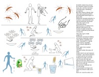 Mosquitoes like body odor, Deodorant helps prevent malaria. Make malaria defense from starchy plants. Malaria Vector Control, Open Source